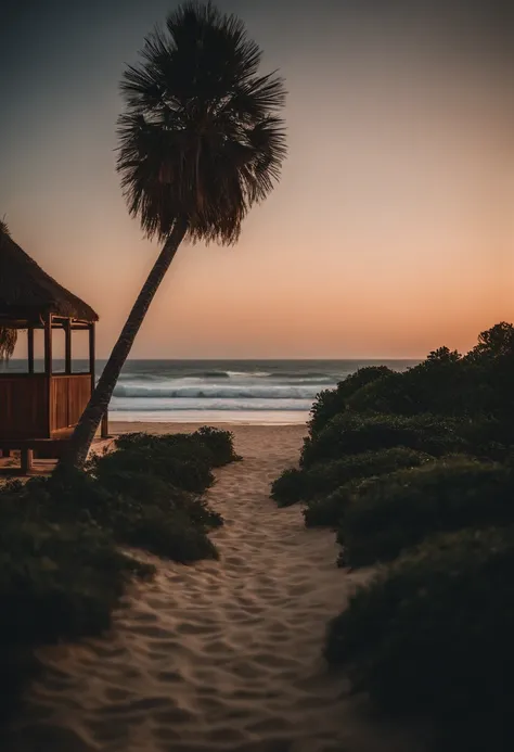 praia, Cinematographic photo, foto realista, 8k, alta qualidade