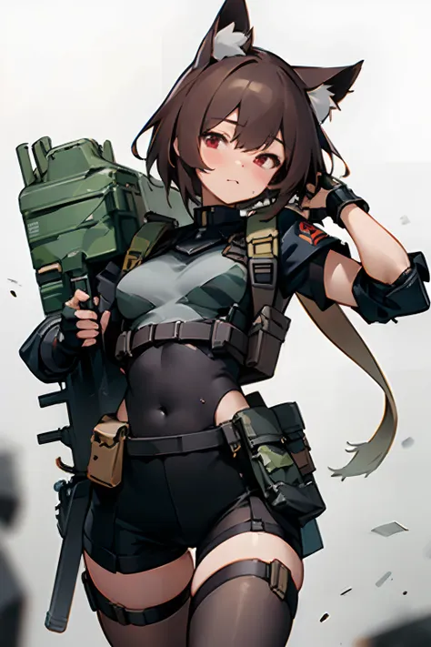 masterpiece, 8k, high quality, 1 girl, cat ears, military, tactical gear, body armor, chest rig, (pouches), red eyes, camouflage...