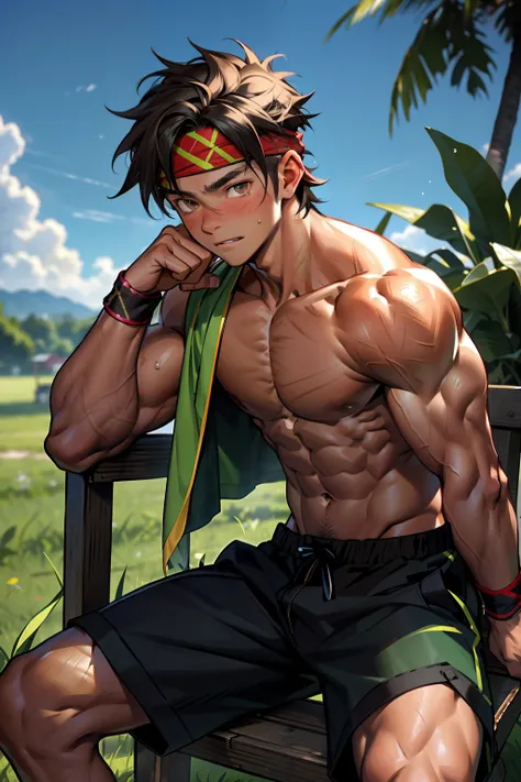 (Masterpiece, Best quality 12 year old boy，Shota), 1boys, Young,Muscular, Short hair, with brown eye, Intricate, Grass, full bodyesbian, Shirtless, Muscles sparkle in the sun,Black shorts,  green headband, Vivid colors,(Depth of field:1.2),(Abs),Blush, vie...