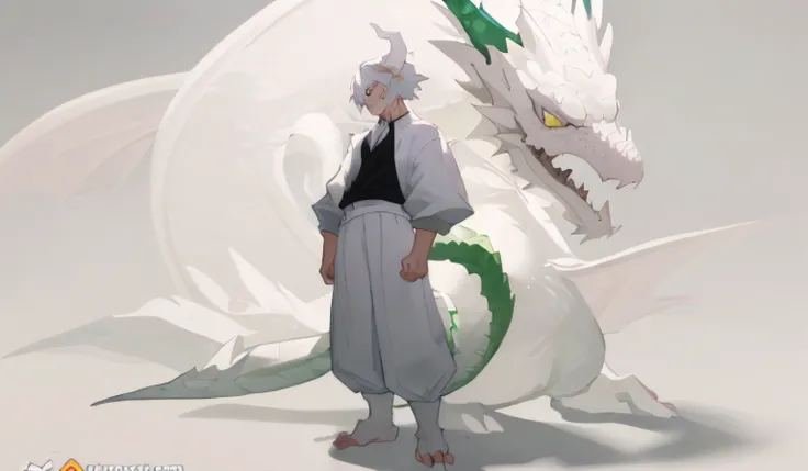 white dragon use clothes