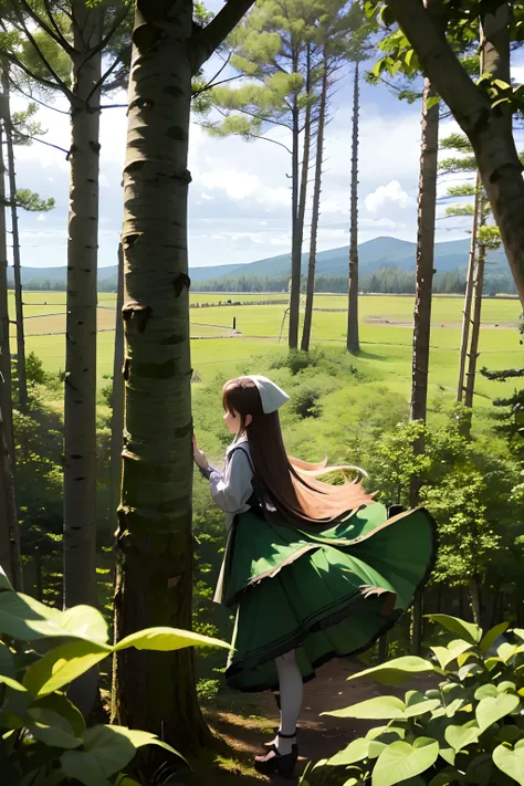 Suiseiseki in birch forest.