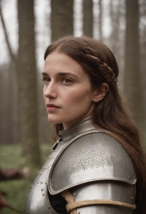 Create a Joan of Arc as she was in her day in high definition.