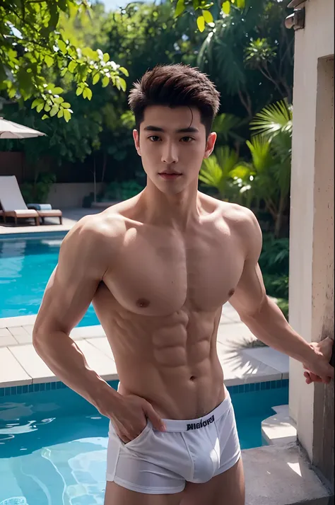 arafed boy in a hip white boxer brief, Full Body Shoot, Quiff haircut, look at camera, detailed facial parts, Manly, charmer, Masculine, Phallus, Pool background, Sexy Pose, Sex Manaice, perfect anatomy, symmetric body, asian boy 19 years old, shirtless ::...