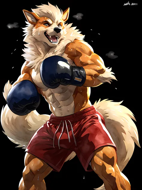 anthro Arcanine, posing for the camera, wearing boxing gloves. 4k, high resolution, best quality, posted on e621, (solo:1.2), anthro body, male, mane, adult, masculine, (muscular, heavyweight:1.2), correct anatomy, (black background, no background, feature...