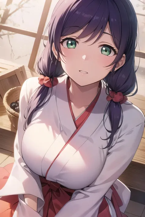 nozomitoujou, nozomi toujou, (green eyes:1.5), purple hair, twintails, low twintails, scrunchie, long hair, (large breast:1.2),
BREAK hakama, hakama skirt, japanese clothes, miko, red hakama,
BREAK looking at viewer,
BREAK outdoors, shrine,
BREAK (masterpi...