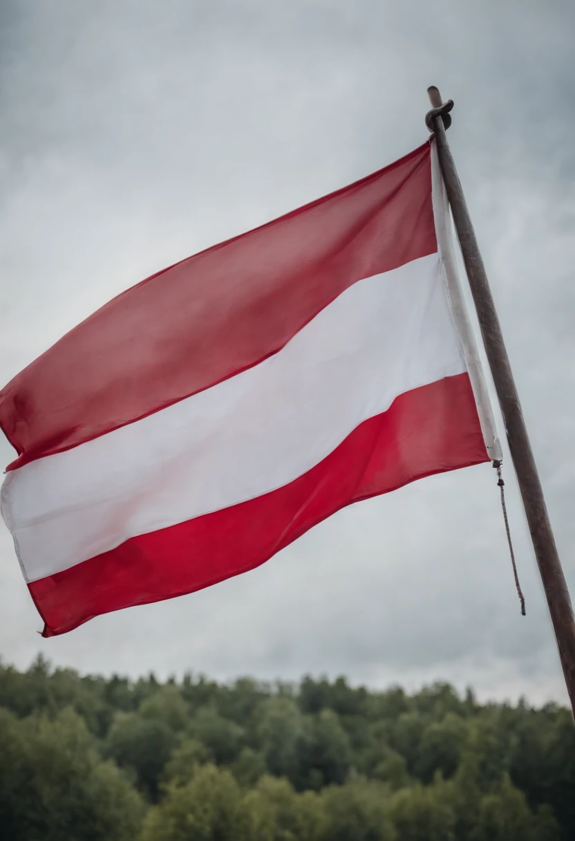 poland flag