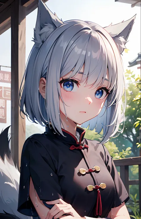 ​masterpiece,Top image quality,hight resolution,imagem 4k,Raw photo,Photorealsitic,{Solo},teens girl,Embarrassment,Silver Short Bob,stare at each other,Wet,Blue eyes,小柄,,Silver fox ears,Fox tail,,boyish,Taoist,Kyung-hsien,