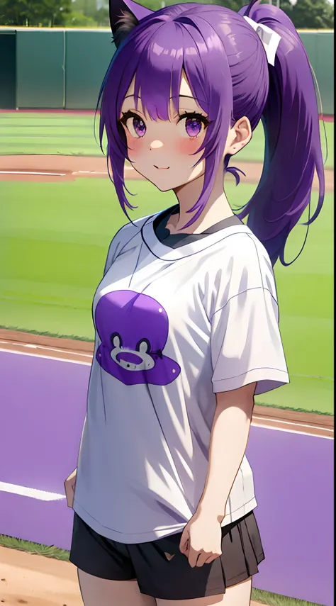 baseball field、Purple hair、Cats ears、T-shirt、poneyTail、Underpants