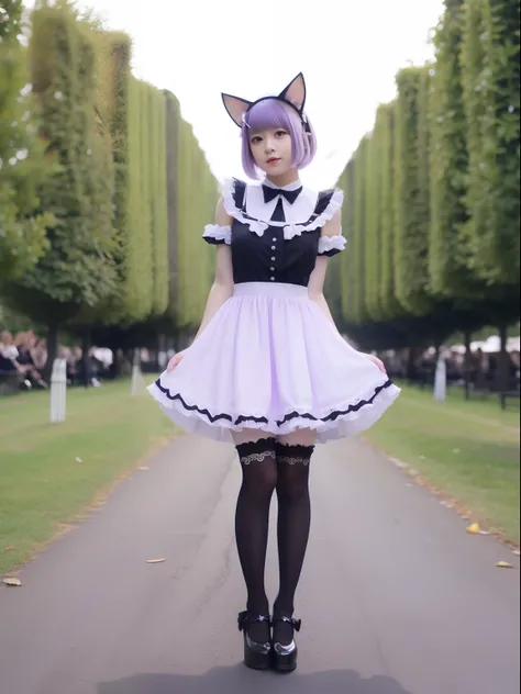 One girl, solo, French maid outfit, cat ears, light purple hair, maid dress, stockings, perfect posture, collar, black and white clothes, legs together, frills, standing up