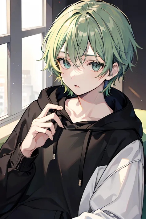 boy 14 years old, hair light, green colored eyes, black hoodie