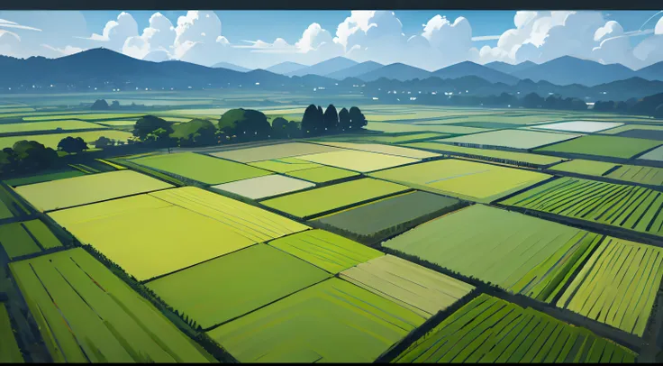 rice fields、square shapes