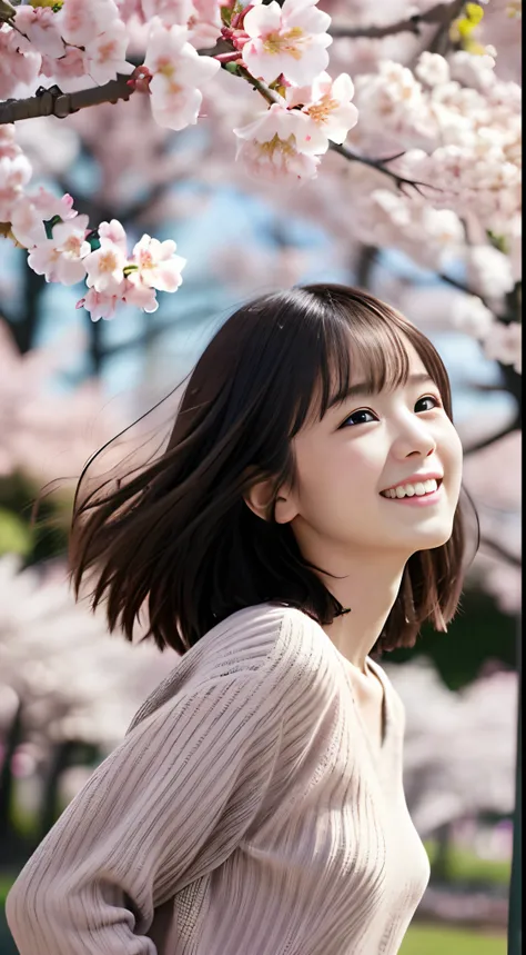 (slender small breasts and short hair,,,、Close up low angle shot of one girl with dull bangs in spring colorful sweater and shirt :1.5)、(Low angle shot of a girl dancing happily、the hair flutters with the wind :1.5)、(Rows of cherry blossom trees in full bl...