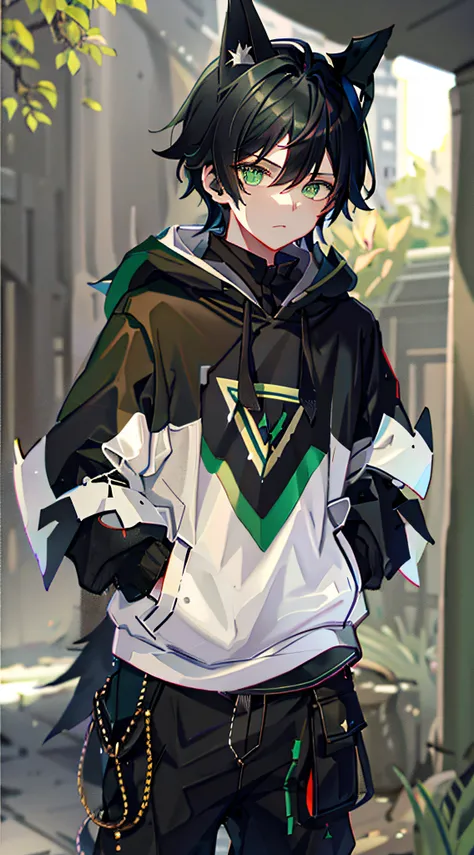 1boy, black hair, Green eyes, wolf ears, wolf tail, Androgyne, Black pants, woods, Vibrants, HD, Best Quality, black hoodie