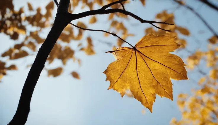 I want a flying leaf with shades of gold and lights around it.