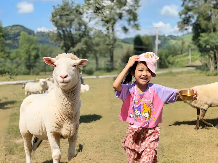 Smiling sheep