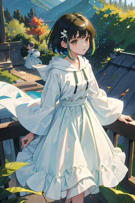 (child)，（​masterpiece，Highest Quality），(Long skirt with gingham check)，Light green hoodie with short sleeves，A dark-haired，On the rooftop，observitory，the woods，mont，Colored leaves，momiji