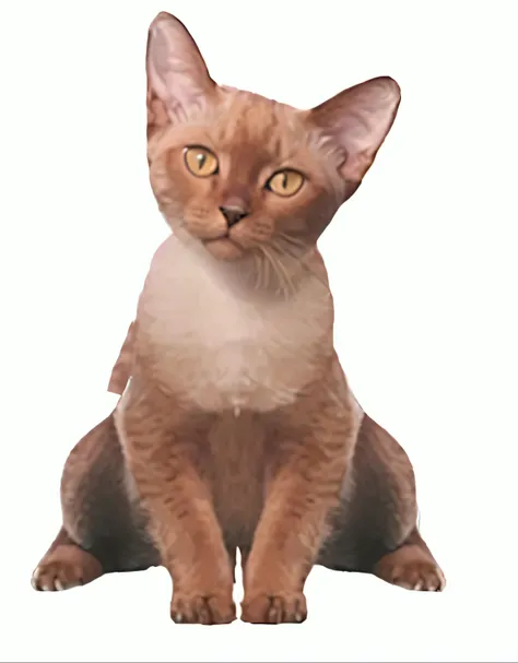 There is a cat sitting on white background, anthropomorphic female cat, tabaxi, aesthetic siamese cat, sphinx cat, sitting down casually, illustration of a cat, whole cat body, tabaxi male, human cat hybrid, cat design, with pointy ears, cat dog hybrid, an...