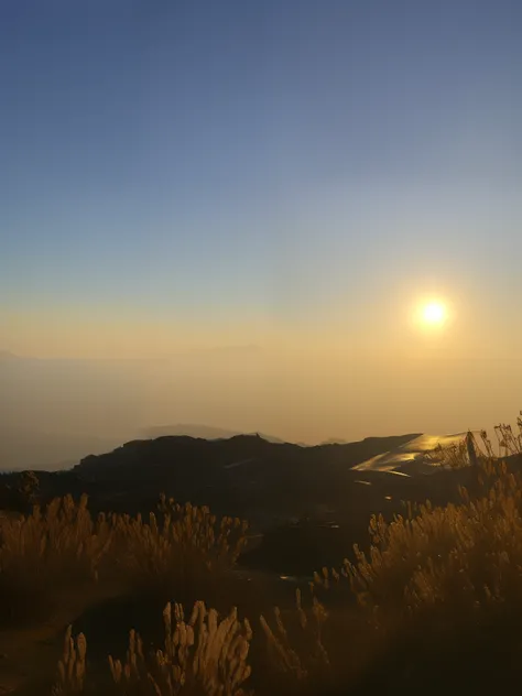 Arafs in the foreground of the mountain，The background is sunset, during sunrise, At sunrise, late sunset, mountains and sunset!!, sun is in the top, Morning sunrise, beautiful fine sky, The sun is shining, with the sun shining on it, Hazy sunlight and mys...