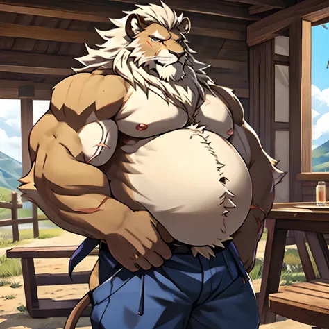 Alone, LION, scar, old, Male mature, calçan, large, big belly, muscle, pecs.