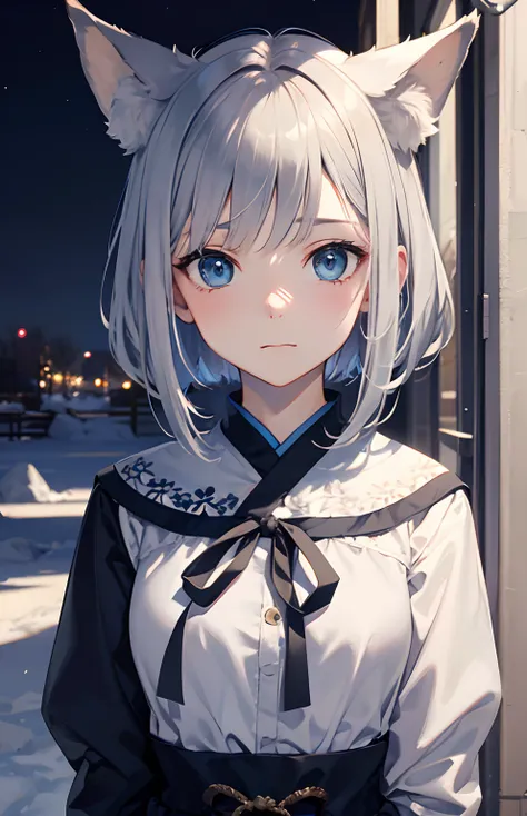 ​masterpiece,Top image quality,hight resolution,imagem 4k,Raw photo,Photorealsitic,{Solo},teens girl,Embarrassment,Silver Short Bob,stare at each other,,Blue eyes,小柄,,Silver fox ears,Fox tail,snowscape,boyish,Ainu,Attusi