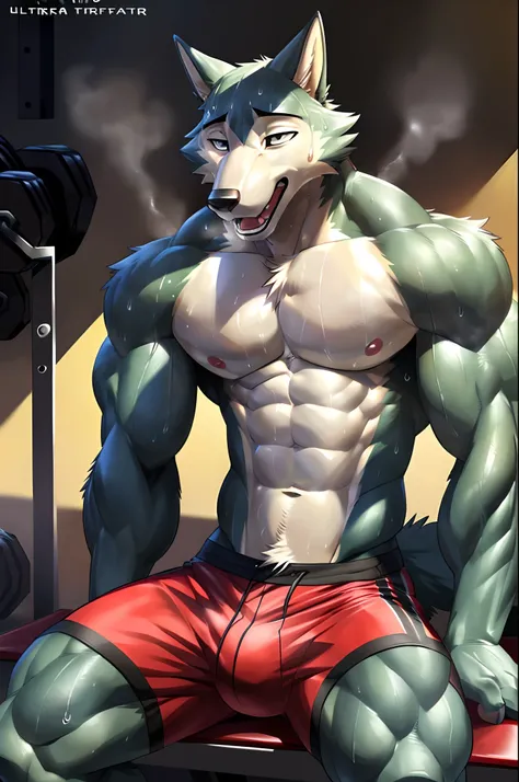 ((solo)), (anthro:1.2) wolf (lora; wolf), adult, (slim:2), (ripped body), (correct anatomy:1.2), vascular veins, (cartoon fur, detailed fur texture:1.3), background (gym:1.3), photorealistic, (black compression shorts (bulge:0.5)), (bare torso:1.4), (detai...