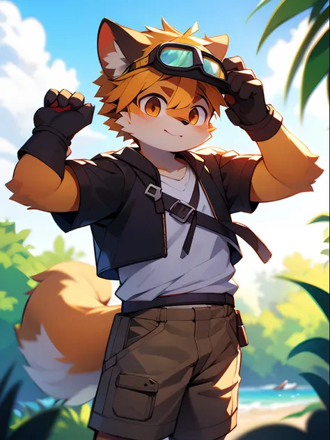 author：jrjresq, author：kirito, mammal, furry, male, solo, wears, visor, summer,leather glove，protective goggles，amber hair