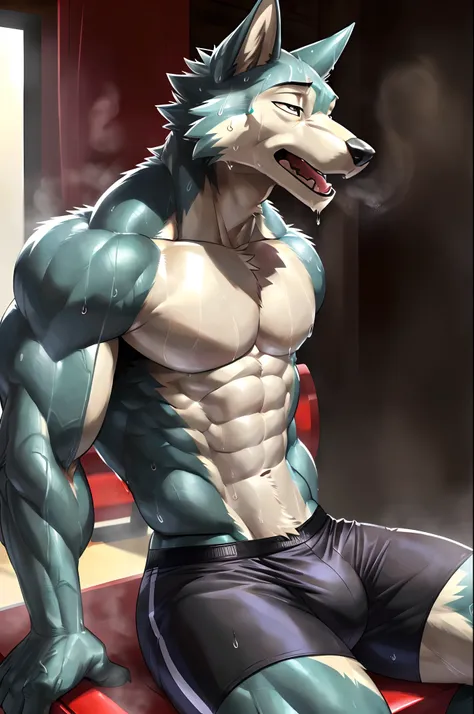 ((solo)), (anthro:1.2) wolf (lora; wolf), adult, (slim:2.2), (ripped body), (correct anatomy:1.2), vascular veins, (cartoon fur, detailed fur texture:1.3), background (gym:1.3), photorealistic, (black compression shorts (bulge:0.5)), (bare torso:1.4), (det...