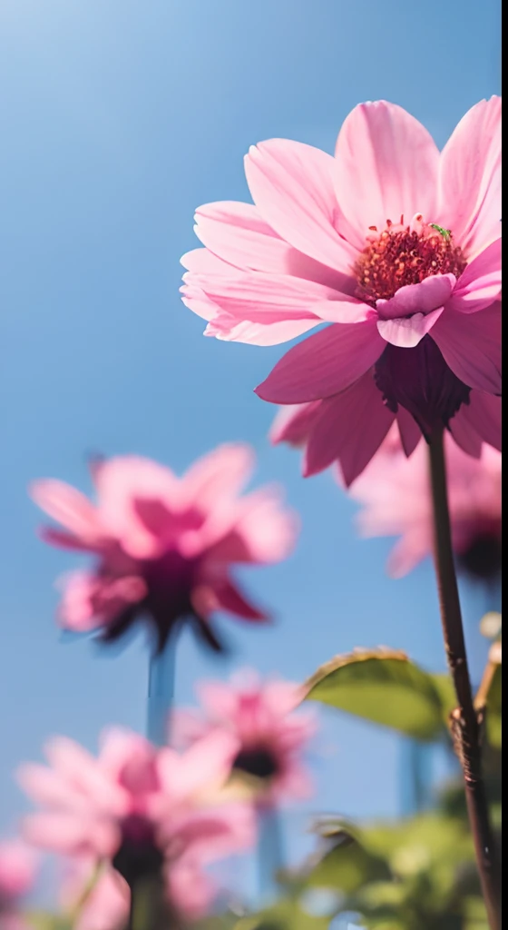 Pink flowers，Hazy background，and the sun was shining brightly，high detal，Perfectcomposition，first person perspective。