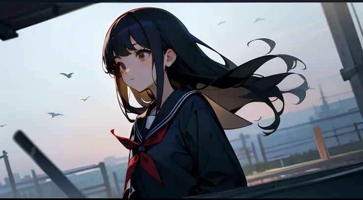 Semi-long black hair、Beautiful schoolgirl、a beauty girl、Navy blue long-sleeved sailor suit、Dark blue below-the-knee socks、Vacant land、Upper body is shown、a closeup、Brown eyes、