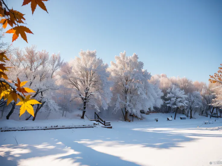 China has 24 solar terms,Frost, autumn
There is white frost on the leaves， Frost clings to autumn
leaf,Temperature drop,Snow,cool colours,
Warm light, 8k —aspect 8:16 —v5.2