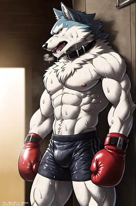 ((solo)), (anthro) wolf, shirou_ogami:1.8 (bna), adult, mature, masculine, (slim:1.2), old_man:1, tall:1, (correct anatomy:1.2), vascular veins, (cartoon fur, detailed fur texture:1.3), topless, wearing big black collar (shirtless, boxing gloves, compressi...