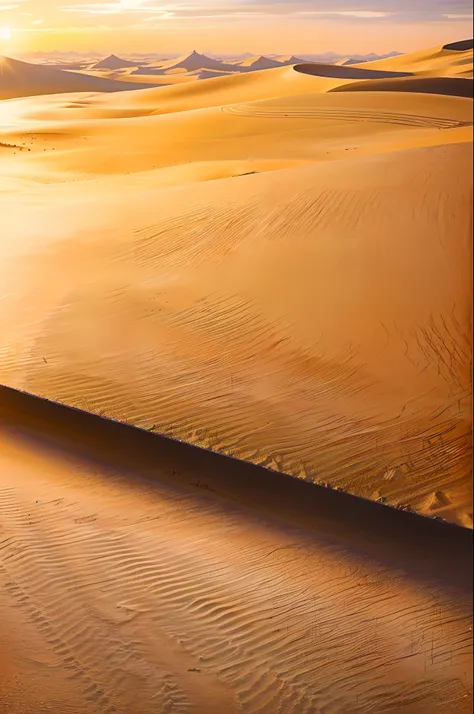 sahara desert