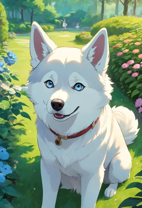 Siberian Husky looks into the camera with a look of surprise and bewilderment, Turn your head to the side and look, In the beautiful gardens、Marital Dog