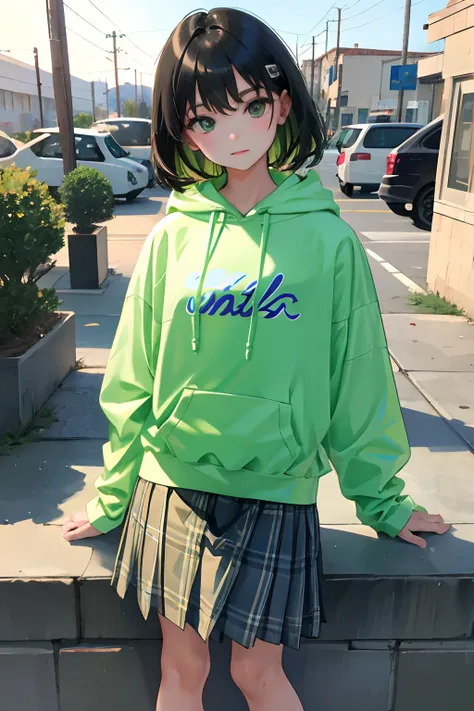 child，（​masterpiece，Highest Quality），Light green sheer hoodie，Plaid skirt，A dark-haired