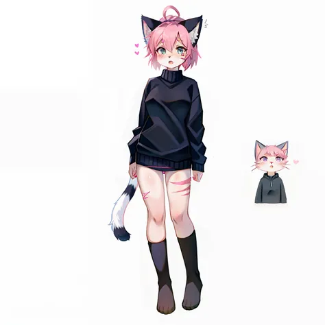 Reference sheet of a kitty dog [female] with a pink color pallette and self harm scars, wearing a black sweater