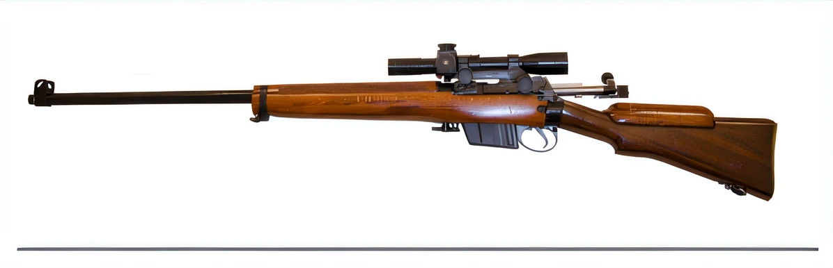 Ｌ２rifle