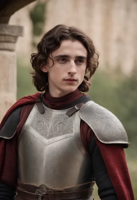 Timothee Chalamet, targaryen prince, red and black armor, medieval, ultra realistic, game of thrones