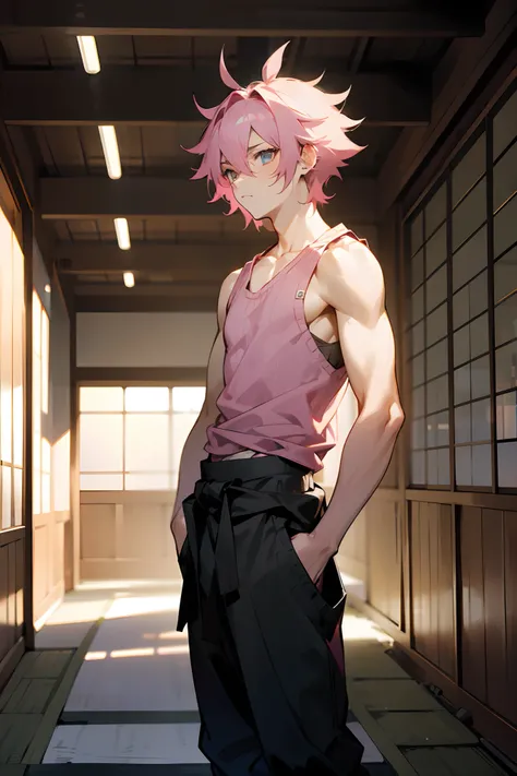 1male, teen, pink hair, messy hair, tank top, sweater, tied to waist, black baggy pants, standing on path, japanese dojo