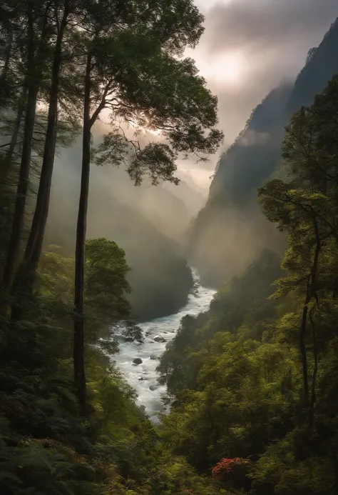 Antecedentes detalhados, master part, Qualidade Superior, Landscape, montanha, Rio, Floresta, sol, dia, Cloud