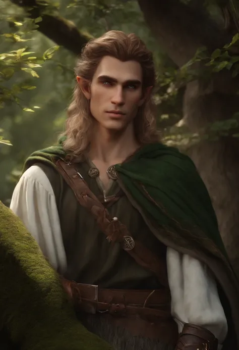 (Master parts), (best qualityer), rendering, Realistic, ultra - detailed, perfect face, perfect bodies, male elf, druid