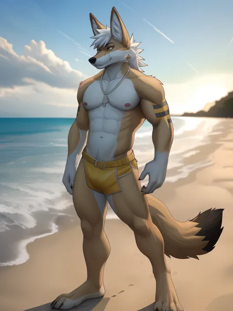 coyote, White body, White hair, Yellow markings, beach,