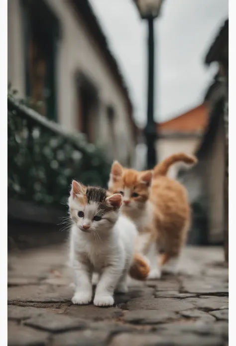 I have two little kittens, a cute little cat, cute kittens, Cutest, Incredibly cute, Adorable and cute, And cute and lovely. They are walking down the street with backpacks, Walking together, commute, Proudly walk down the street, And the cat is walking. T...