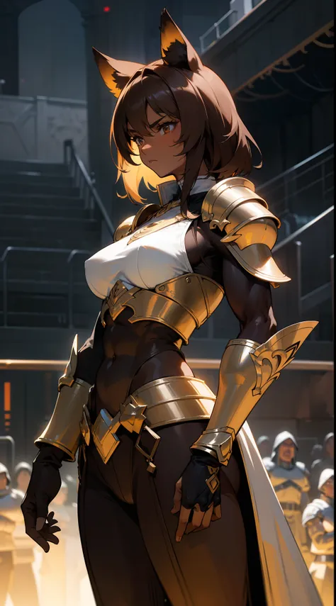 (Original Character,8k, Masterpiece, Best Quality,Detailed, Beautiful Detailed Eyes, solo),1woman ,30s,serious face,white and golden armor,medium tits,brown hair,medium hair,brown eyes,fox ears,((standing in a arena of battle,night)),((colored skin,Dark sk...