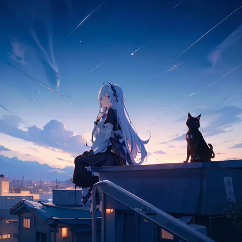 anime,1girll(long whitr hair,Wavy hairstyles,Cute anime girl)Sit on the rooftop and watch the city at night with a black cat, The illustration presents a very detailed cover art effect, 4K anime wallpaper, Anime art wallpaper 4 K, , sitting on rooftop, ins...