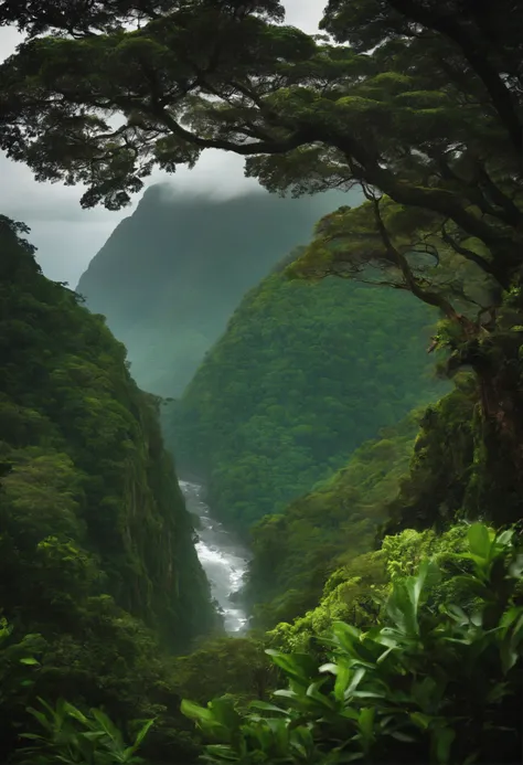 Create an image of Brazils Atlantic Forest Mountains.