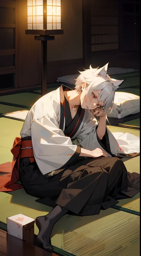 (((masutepiece))), (((Delicate touch))), (((Mans))), Silver hair, Silver eyes, Onmyoji, Japanese style, Kimono, Hakama, Sleep on the floor, lantern, Fox ears,masutepiece，Best Quality，White-haired fox，fox ear，Blue and white hanf，Immortals，Gray eye， youth，Ha...