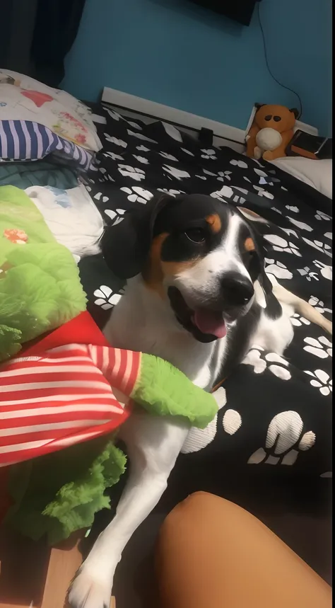 Theres a dog thats sitting on a bed with a stuffed animal, muito animado, muito bobo olhando, aw, beagle bonito, Jack Russel Terrier surpreendido, jack russel dog, atrevido!!!, super cute and friendly, excitado, he is very happy, ampliado, feliz com a boca...