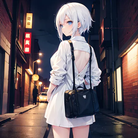 Anime style, 1 girl, white colored hair, Back guitar case, cover, Guitar Bag, Back Guitar, Dark street background, the night