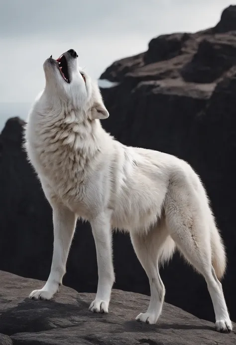 White silhouette design of a single wolf，Silhouette on the edge of a cliff，Wolf howl：1.5，black backgrounds，Beautiful Silhouette，biologically correct