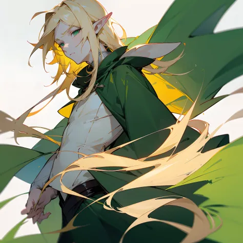 male elf, very long ears, horizontal elf ears, handsome face, long face, blonde hair, expressionless, green cloak, pale skin, ca...